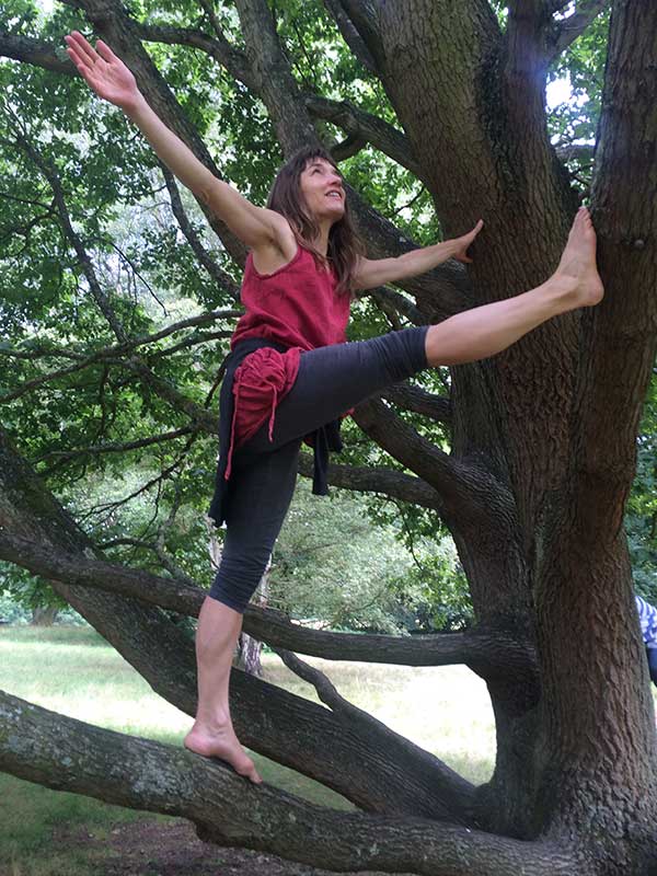photo-in-tree-opt Emily Woof balancing in a tree on one leg.